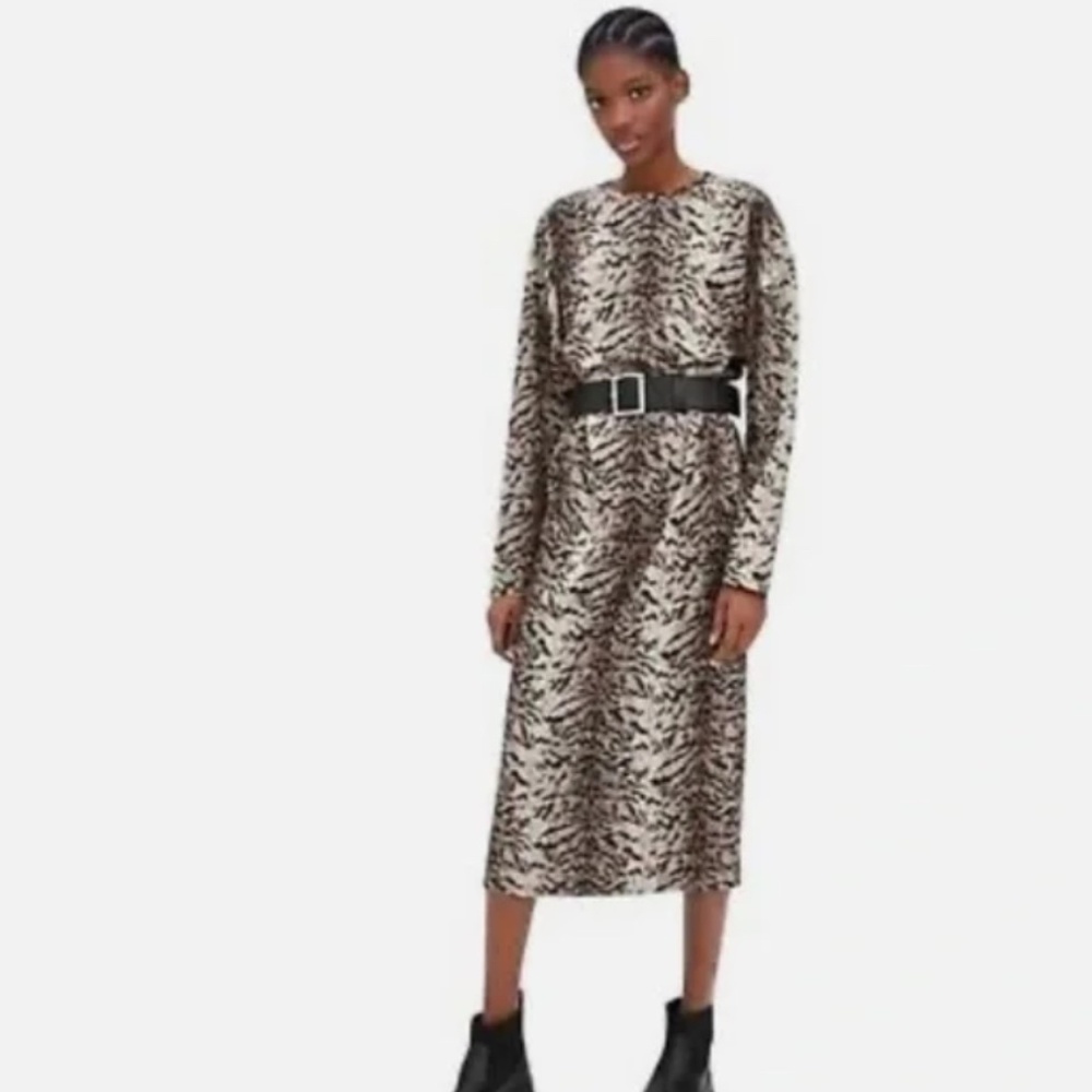 Zara zebra print dress
